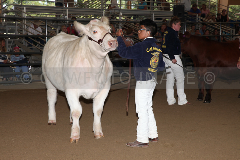 174_8913