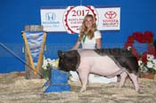 172_2857_best